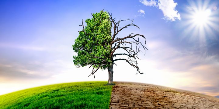 Half of Kiwis seek action on climate